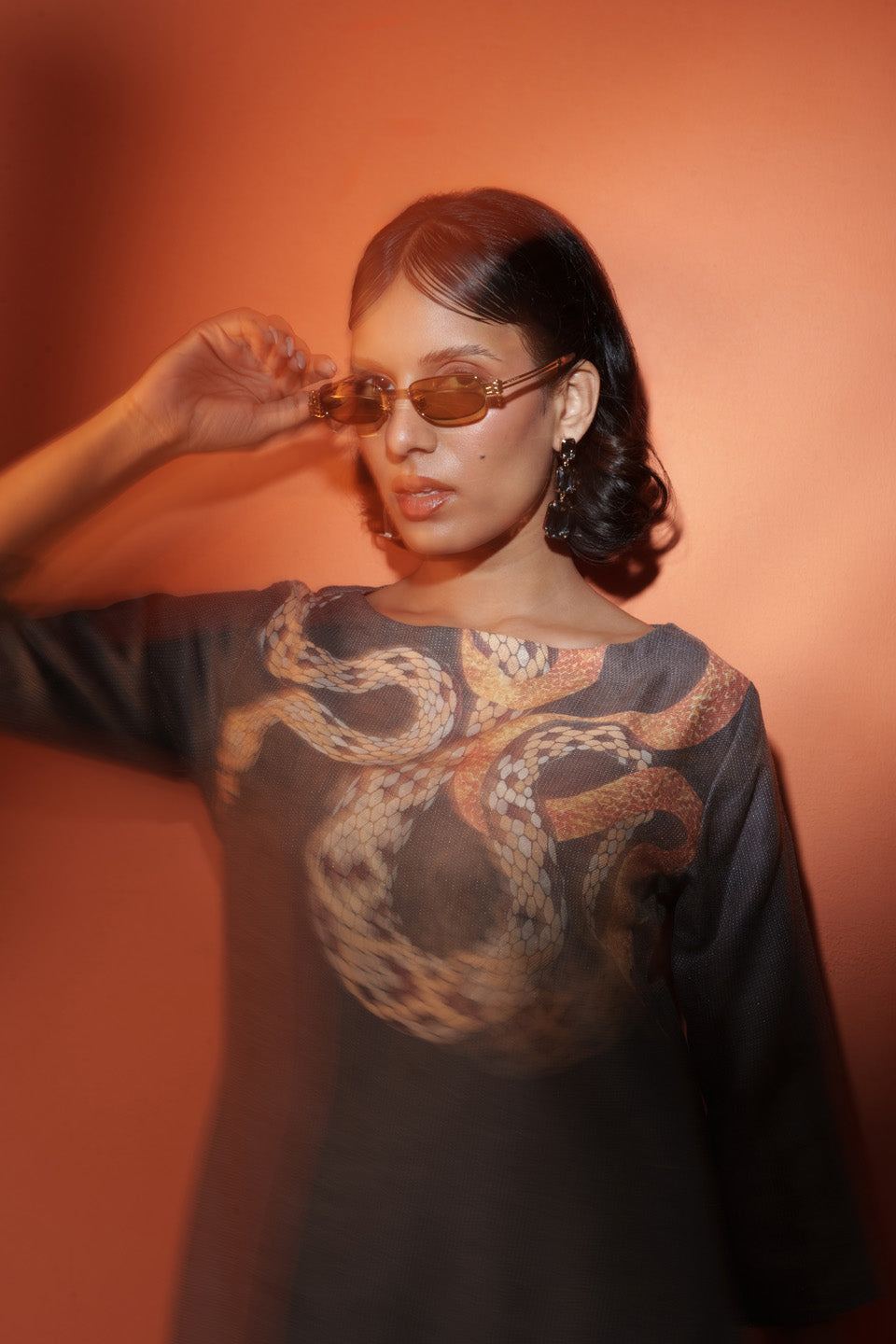Hooping Desert Ruler Snakes